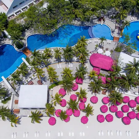 Oasis Palm-3
